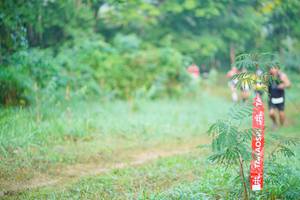 BIB: 
                            <button type="button" onclick="openModal(19428813)" class="btn btn-primary btn-sm float-right btn-popup" data-toggle="modal" data-target=".modal-high-quality">
                        <i class="fas fa-shopping-cart"></i> Add to Cart
                    </button>
                                            <button type="button" onclick="isThisMe(19428813, true)" class="btn btn-success btn-sm float-right btn-popup btn-isme hidden" data-toggle="tooltip" data-placement="bottom" title="นี่คือรูปของคุณใช่ไหม คลิกที่นี่เพื่อเอาเข้าอัลบั้ม">
                        <i class="fas fa-plus"></i> Add to album
                    </button>
                    <button type="button" onclick="isThisMe(19428813, false)" class="btn btn-warning btn-sm float-right btn-popup btn-isnotme hidden">
                        <i class="fas fa-ban"></i> Remove from album
                    </button>